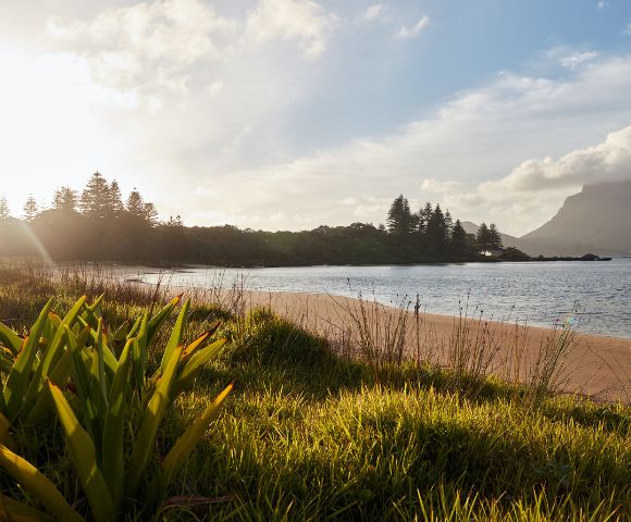 Sunlit beach scene with soft waves, grassy foreground, distant trees, and mountains under a partly cloudy sky. The atmosphere is serene and peaceful.
