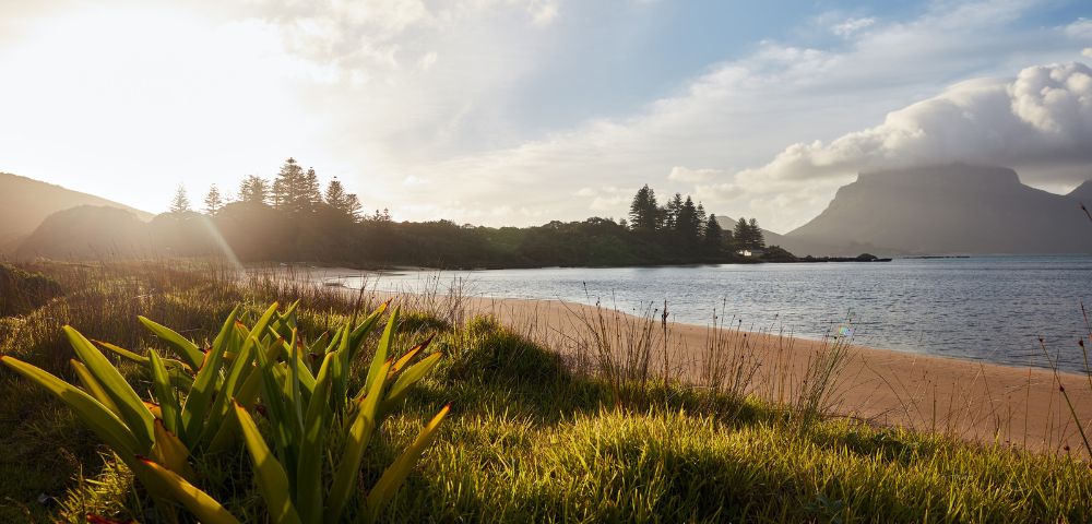 Sunlit beach scene with soft waves, grassy foreground, distant trees, and mountains under a partly cloudy sky. The atmosphere is serene and peaceful.