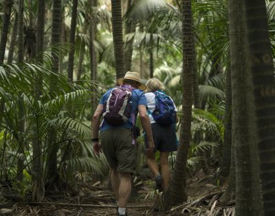 A couple wearing backpacks hikes through a dense tropical forest, surrounded by tall palm trees, conveying a sense of adventure and exploration.