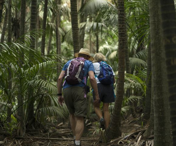 A couple wearing backpacks hikes through a dense tropical forest, surrounded by tall palm trees, conveying a sense of adventure and exploration.