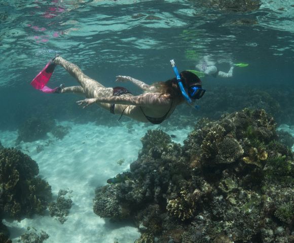 A snorkeler with pink fins explores vibrant coral underwater. Another person is visible in the background, creating a serene, adventurous scene.