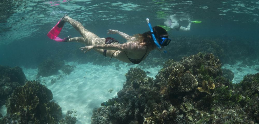 A snorkeler with pink fins explores vibrant coral underwater. Another person is visible in the background, creating a serene, adventurous scene.