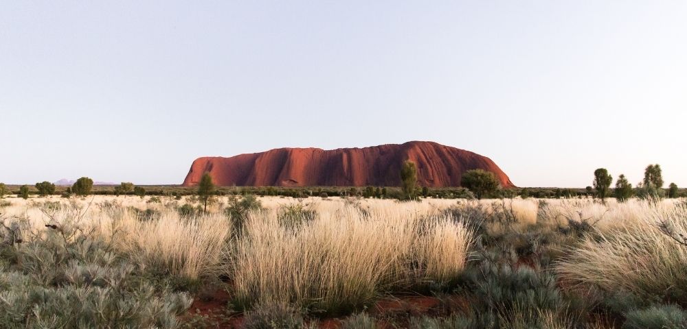 Desert Gardens Hotel - Gallery Image
