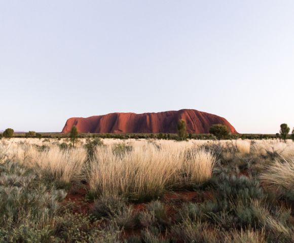 Desert Gardens Hotel - Gallery Image