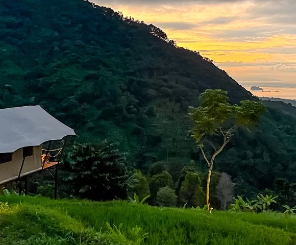 A tent perched on a lush hillside overlooks a vibrant sunset. Soft, golden light bathes the sky and sea, evoking a sense of tranquility and adventure.