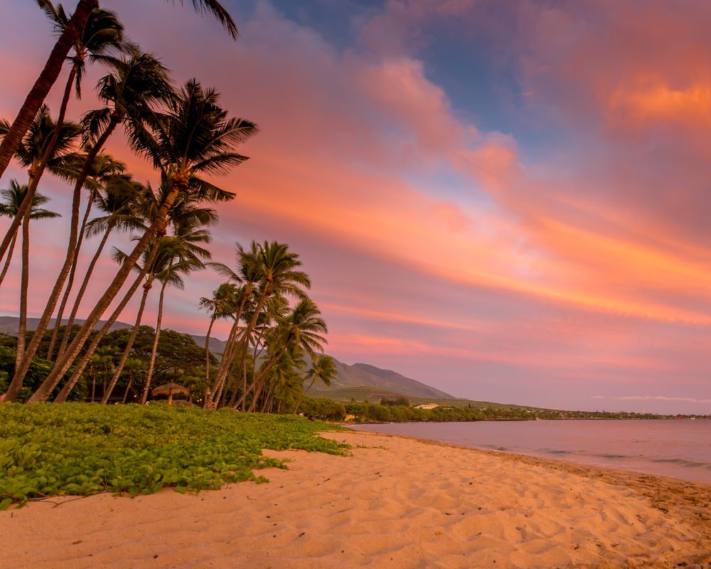 Tropical beach at sunset with tall palm trees leaning over the sandy shore. The sky glows with vibrant orange and pink hues, creating a serene atmosphere.
