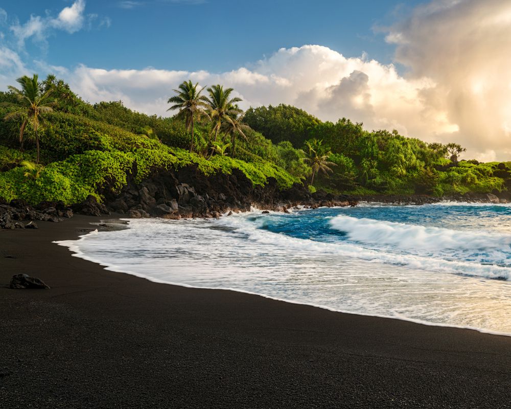 A serene beach scene with black sand, vibrant green foliage, and tall palm trees against a bright blue sky with fluffy clouds, conveying tranquility.