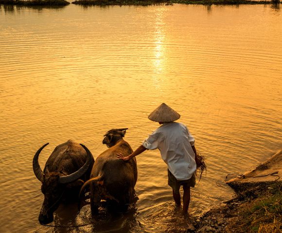 Mekong Heritage & Hidden Villages River Cruise | BONUS Upgraded Balcony Suite - Gallery Image