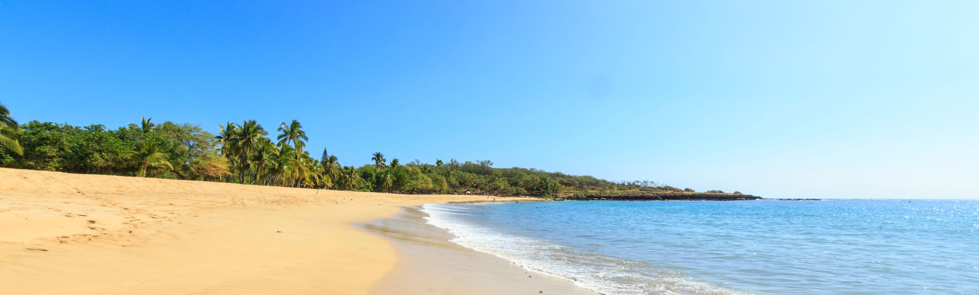 Golden sandy beach with gentle waves under a clear blue sky. Lush green palm trees border the shore, creating a serene and tropical atmosphere.