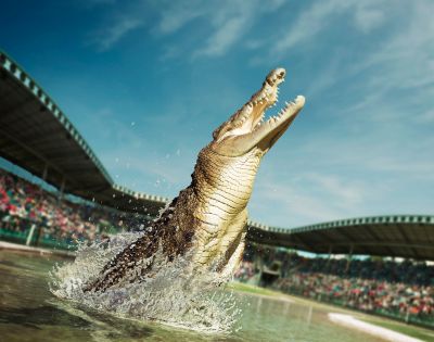 A crocodile leaps from the water with its mouth open wide in an arena. Spectators fill the stands under a clear blue sky, conveying excitement.