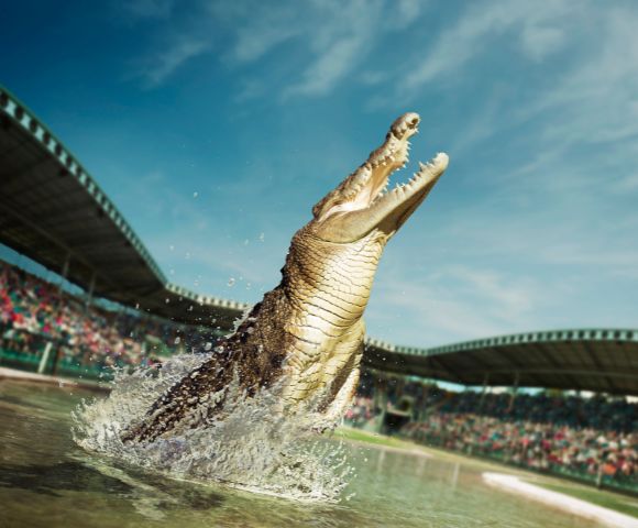 A crocodile leaps from the water with its mouth open wide in an arena. Spectators fill the stands under a clear blue sky, conveying excitement.
