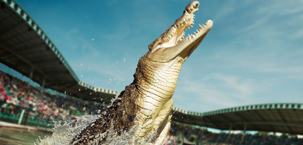 A crocodile leaps from the water with its mouth open wide in an arena. Spectators fill the stands under a clear blue sky, conveying excitement.