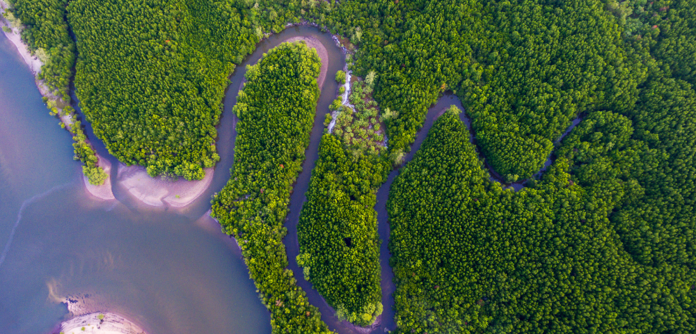 18 Day Best of Malaysia, Borneo & Singapore Tour Image 4