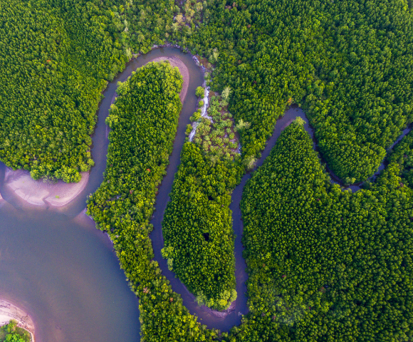 18 Day Best of Malaysia, Borneo & Singapore Tour Image 4