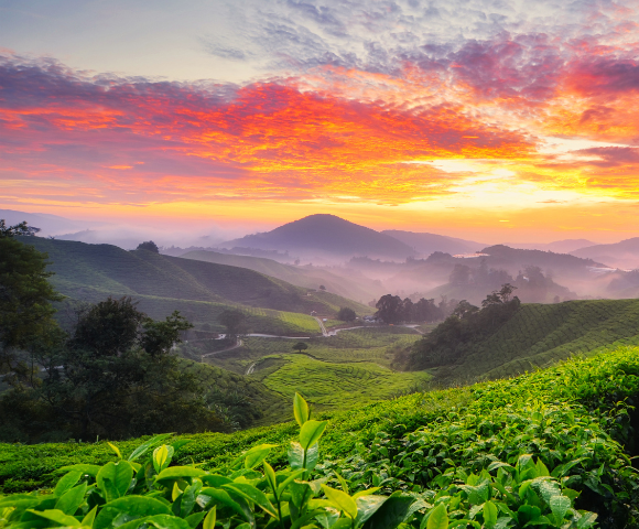 18 Day Best of Malaysia, Borneo & Singapore Tour Main Image