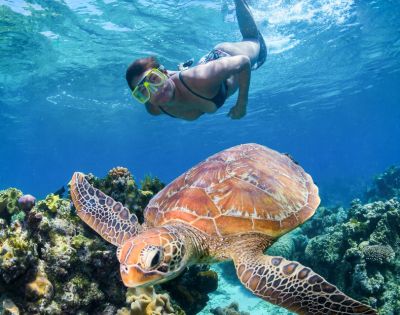 A snorkeler in clear blue water swims above a large sea turtle near vibrant coral reefs, conveying a sense of adventure and marine wonder.