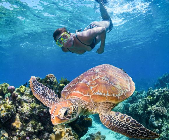 A snorkeler in clear blue water swims above a large sea turtle near vibrant coral reefs, conveying a sense of adventure and marine wonder.