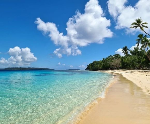 A serene tropical beach scene with clear turquoise water, golden sand, and palm trees under a bright blue sky with fluffy white clouds.