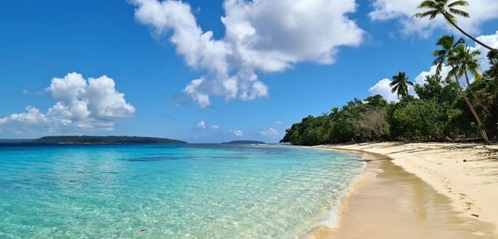 A serene tropical beach scene with clear turquoise water, golden sand, and palm trees under a bright blue sky with fluffy white clouds.
