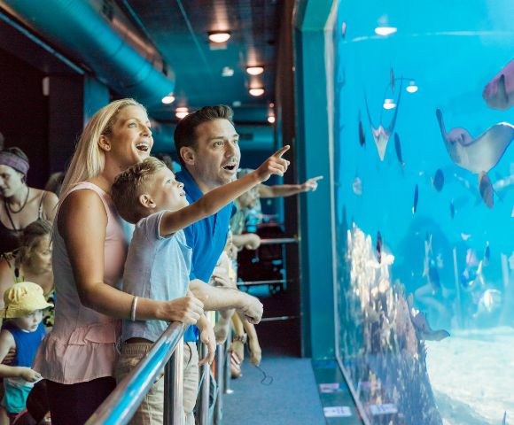 A family of three excitedly watches fish and rays in a large aquarium tank. The child points at the marine life, capturing a sense of wonder and joy.