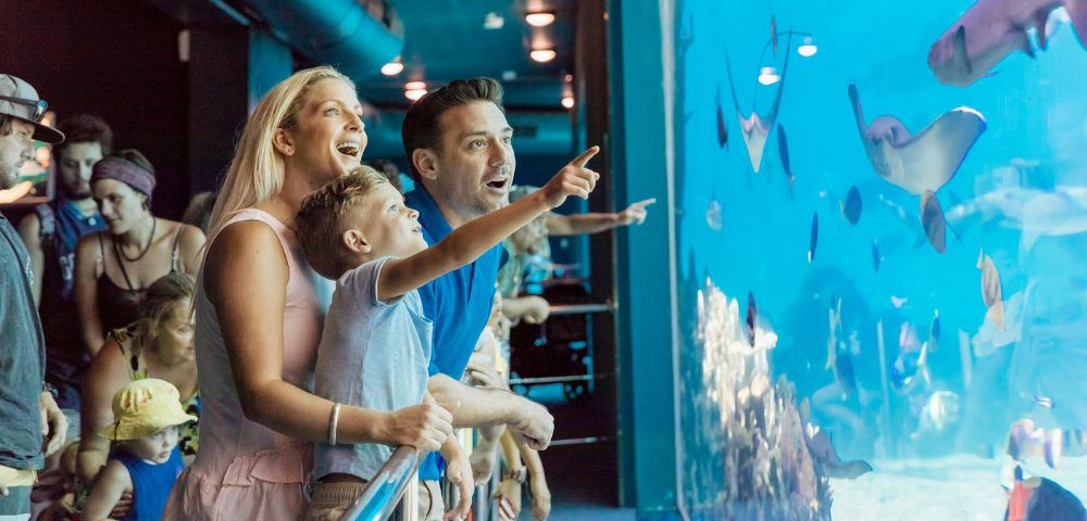 A family of three excitedly watches fish and rays in a large aquarium tank. The child points at the marine life, capturing a sense of wonder and joy.
