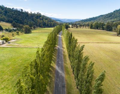 A long, tree-lined road cuts through vast green fields under a clear sky, surrounded by hills. The scene conveys tranquility and open space.
