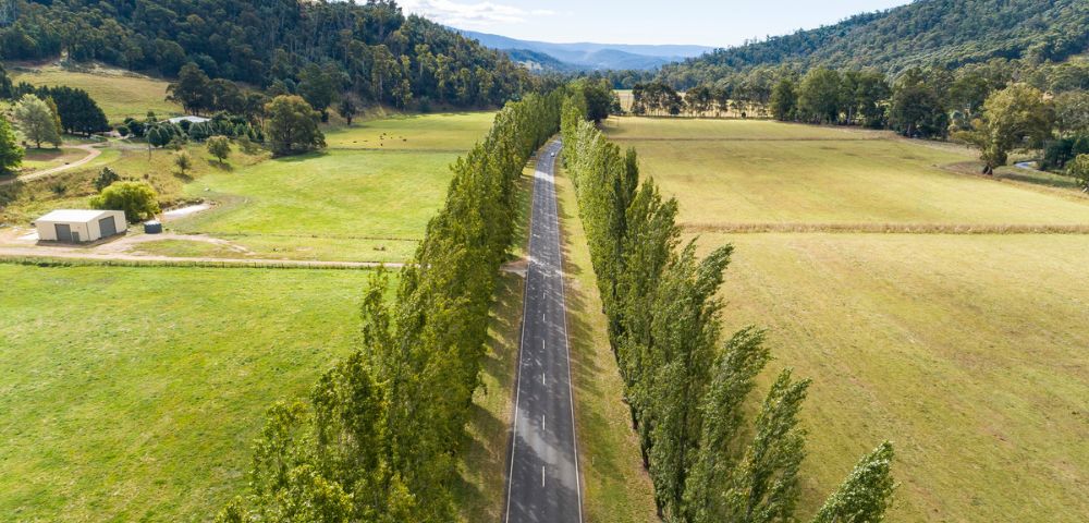 A long, tree-lined road cuts through vast green fields under a clear sky, surrounded by hills. The scene conveys tranquility and open space.