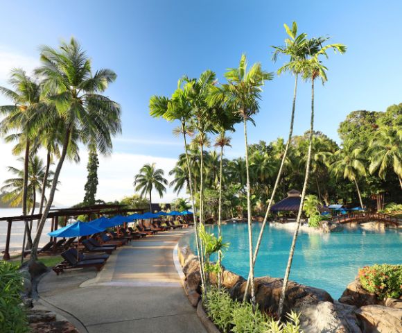 A tropical resort pool surrounded by tall palm trees and lush greenery under a clear blue sky. Blue umbrellas and sun loungers line the stone pathway.