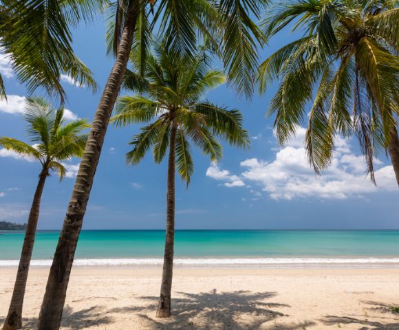 Swaying palm trees frame a serene beach with golden sand, turquoise sea, and a clear blue sky. The scene evokes a tropical, tranquil vibe.