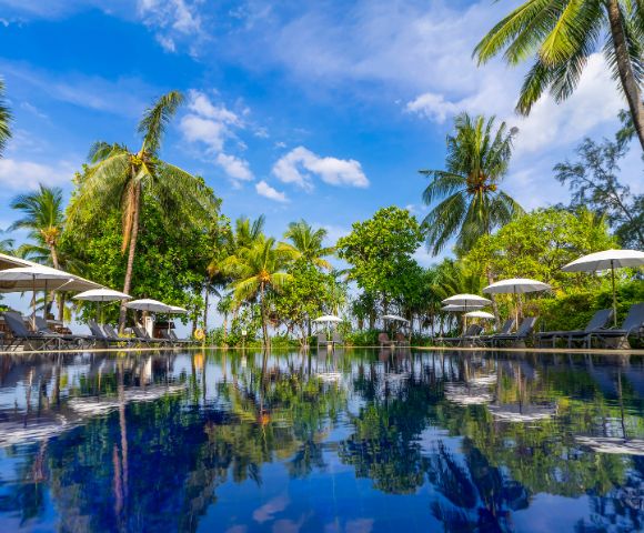 A serene tropical pool scene with palm trees and lush greenery reflecting in the calm water. White umbrellas provide shade to lounge chairs, under a clear blue sky.