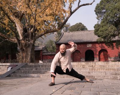 A man performs a martial arts stance in front of ancient Chinese architecture, with autumn trees and a serene atmosphere in the background.