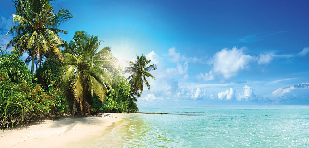 Miami Beach & Southern Caribbean - Gallery Image