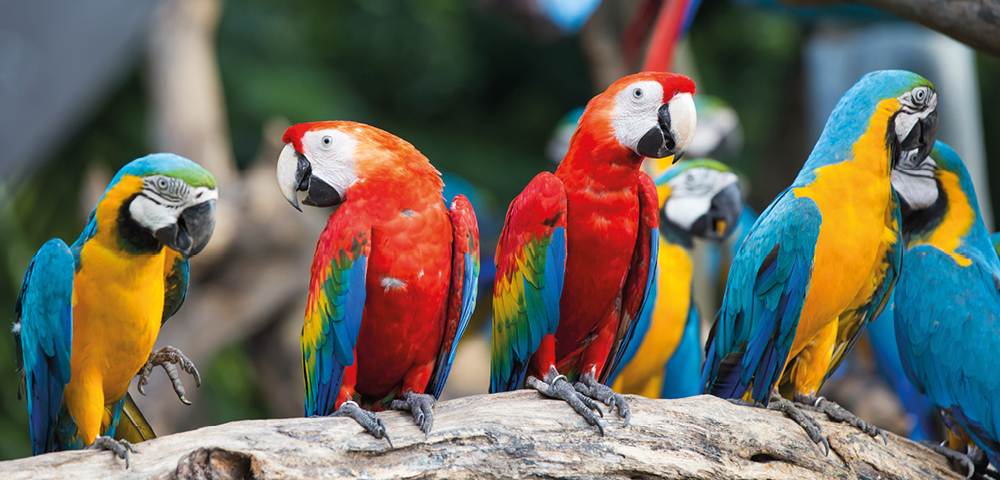 Miami Beach & Southern Caribbean - Gallery Image