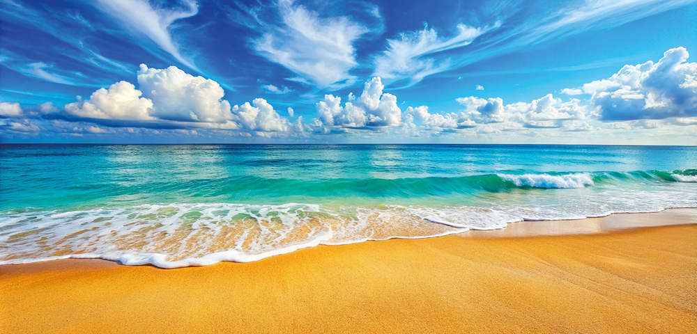 Miami Beach & Southern Caribbean - Gallery Image