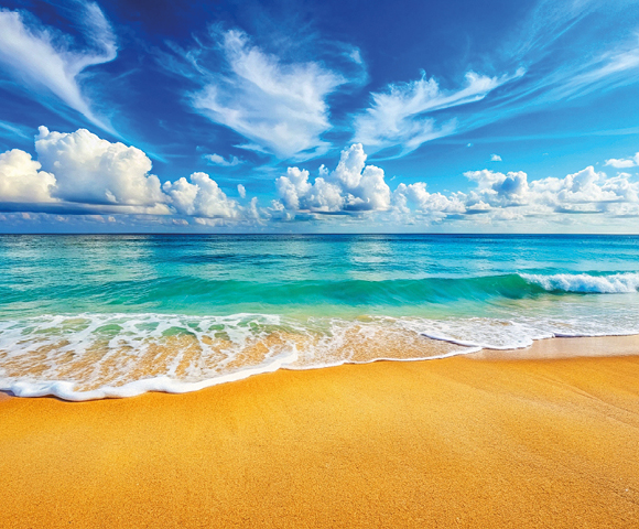 Miami Beach & Southern Caribbean - Gallery Image