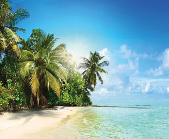 Miami Beach & Southern Caribbean - Gallery Image