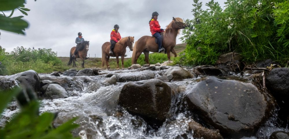 Three riders in red jackets cross a rocky stream on brown horses, surrounded by lush greenery under a cloudy sky, evoking a sense of adventure.