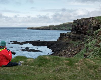 A person in a red jacket sits on a grassy cliff overlooking a rugged coastline and calm sea under a cloudy sky, capturing a serene, contemplative moment.