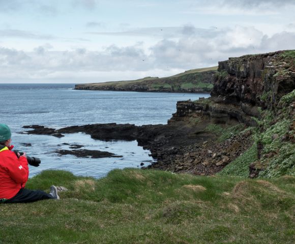 A person in a red jacket sits on a grassy cliff overlooking a rugged coastline and calm sea under a cloudy sky, capturing a serene, contemplative moment.