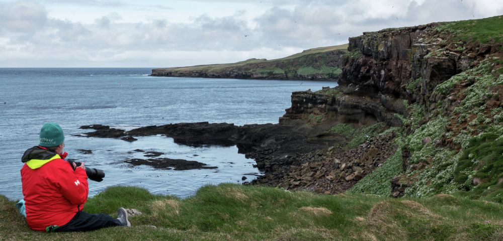 A person in a red jacket sits on a grassy cliff overlooking a rugged coastline and calm sea under a cloudy sky, capturing a serene, contemplative moment.