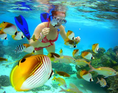 A snorkeler in a red swimsuit and blue fins swims among vibrant tropical fish in clear, turquoise water, conveying a sense of wonder and adventure.