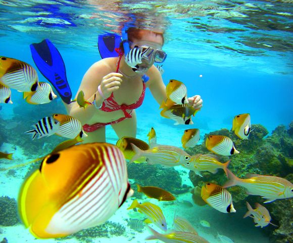 A snorkeler in a red swimsuit and blue fins swims among vibrant tropical fish in clear, turquoise water, conveying a sense of wonder and adventure.