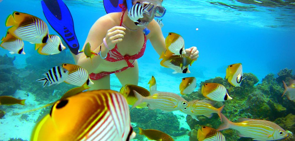 A snorkeler in a red swimsuit and blue fins swims among vibrant tropical fish in clear, turquoise water, conveying a sense of wonder and adventure.