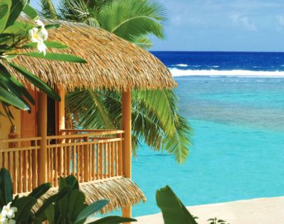 Thatched-roof hut by turquoise ocean, surrounded by lush palm trees and tropical plants, conveys a serene, tropical paradise atmosphere.