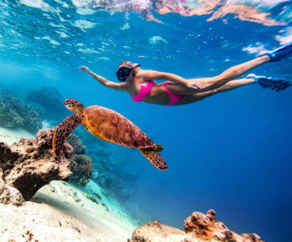 A woman in a pink bikini and snorkel gear swims underwater alongside a sea turtle over a colorful coral reef, conveying a sense of adventure and serenity.
