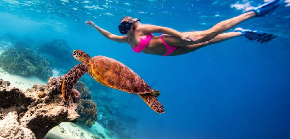 A woman in a pink bikini and snorkel gear swims underwater alongside a sea turtle over a colorful coral reef, conveying a sense of adventure and serenity.