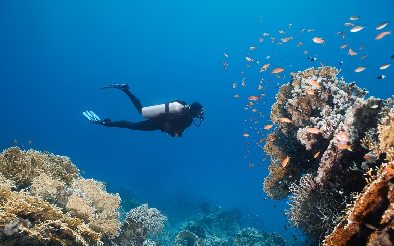 A scuba diver swims near colorful coral reefs and vibrant fish in clear blue water, conveying a sense of tranquility and exploration in the ocean.