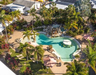 Aerial view of a tropical resort pool surrounded by lush palm trees and greenery. Lounge chairs and umbrellas create a relaxing, inviting atmosphere.