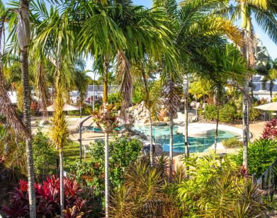 Tropical oasis featuring lush palm trees and vibrant foliage surrounding a serene pool with a waterfall. The scene conveys relaxation and tranquility.