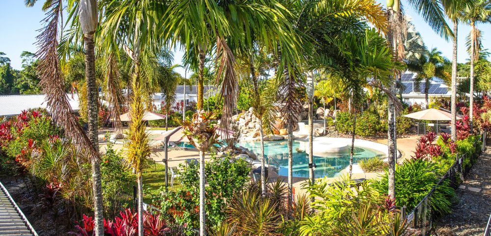 Tropical oasis featuring lush palm trees and vibrant foliage surrounding a serene pool with a waterfall. The scene conveys relaxation and tranquility.